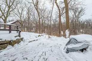 311 - 313 Wilson St, Mount Horeb, WI 53572 - Photo 67