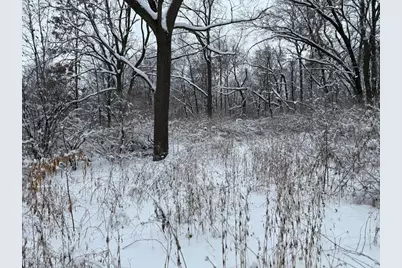 L7 Fawn Meadow Lane, Verona, WI 53593 - Photo 5