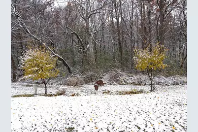 2829 Evergreen Drive, Cambridge, WI 53523 - Photo 39