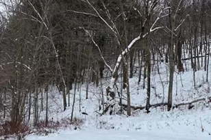 20497 Hady Ln, Gays Mills, WI 54631 - Photo 25