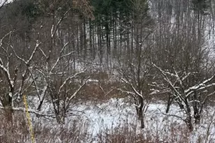 20497 Hady Ln, Gays Mills, WI 54631 - Photo 3