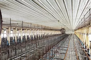 N2542 County Rd O Rd, Oxford, WI 53952 - Photo 13