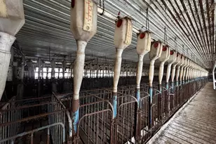 N2542 County Rd O Rd, Oxford, WI 53952 - Photo 9