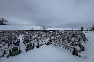 N2542 County Rd O Rd, Oxford, WI 53952 - Photo 33