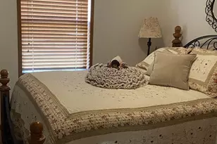 1903 County Road A Street, Delton, WI 53913 - Photo 7