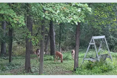 3863 5th Lot 8 Drive, Wisconsin Dells, WI 53965 - Photo 35