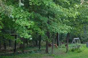 3863 5th Lot 8 Dr, Wisconsin Dells, WI 53965 - Photo 27
