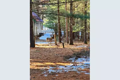 2217 Blackhawk Street, Friendship, WI 53934 - Photo 29