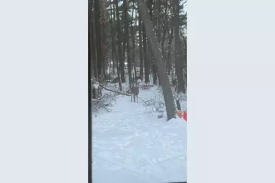 454 Shady Lane, Wisconsin Rapids, WI 54494 - Photo 53