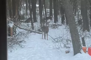 454 Shady Ln, Wisconsin Rapids, WI 54494 - Photo 53
