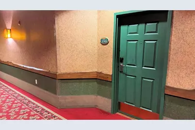 350 E Hiawatha Drive #113, Wisconsin Dells, WI 53965 - Photo 47