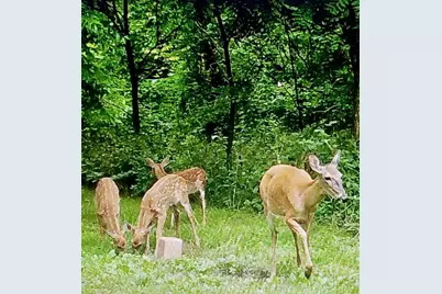 N2302 N Kohn Road, Reeseville, WI 53579 - Photo 63