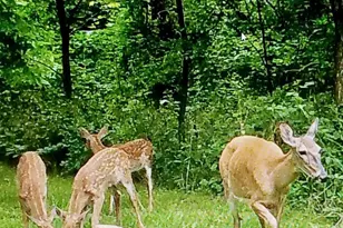 N2302 N Kohn Rd, Reeseville, WI 53579 - Photo 63