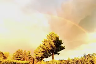 N2302 N Kohn Rd, Reeseville, WI 53579 - Photo 67