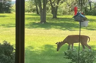 4528 N County M Rd, Janesville, WI 53536 - Photo 49