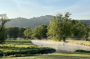 49501 Hwy 171, Gays Mills, WI 54631 - Photo 7