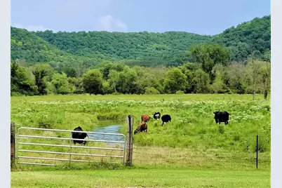 49501 Hwy 171, Gays Mills, WI 54631 - Photo 43