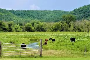 49501 Hwy 171, Gays Mills, WI 54631 - Photo 43