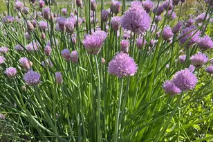 49501 Hwy 171, Gays Mills, WI 54631 - Photo 39