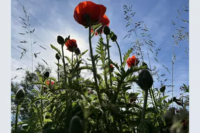 49501 Hwy 171, Gays Mills, WI 54631 - Photo 41