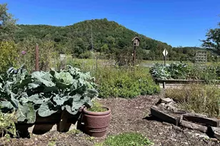 49501 Hwy 171, Gays Mills, WI 54631 - Photo 41