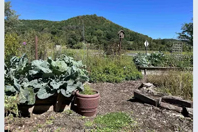 49501 Hwy 171, Gays Mills, WI 54631 - Photo 37