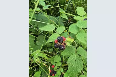 10200 County Road Y, Mazomanie, WI 53560 - Photo 73