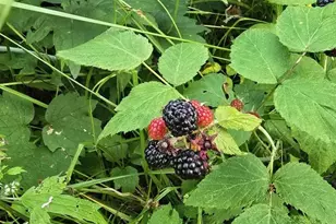 10200 County Road Y, Mazomanie, WI 53560 - Photo 73