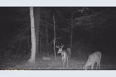 11305 M, Crandon, WI 54520 - Photo 53