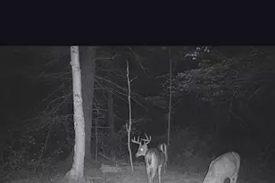 11305 M, Crandon, WI 54520 - Photo 53