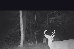 11305 M, Crandon, WI 54520 - Photo 55