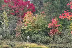 11305 M, Crandon, WI 54520 - Photo 33