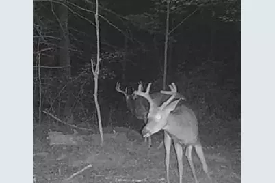 11305 Cth M, Crandon, WI 54520 - Photo 29