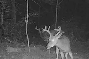 11305 M, Crandon, WI 54520 - Photo 29