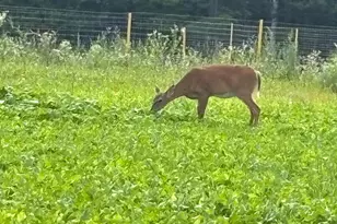 11305 M, Crandon, WI 54520 - Photo 23