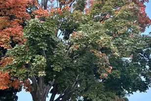 1175 Farnham St, Columbus, WI 53925 - Photo 23