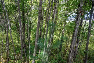 5.67 Acres 22nd Street, Necedah, WI 54646 - Photo 17