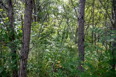 5.67 Acres 22nd Street, Necedah, WI 54646 - Photo 19