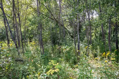 5.67 Acres 22nd Street, Necedah, WI 54646 - Photo 23