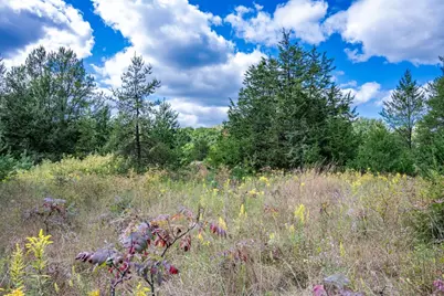 5.67 Acres 22nd Street, Necedah, WI 54646 - Photo 35