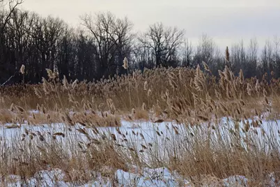Tbd County Rd Jj, Appleton, WI 54913 - Photo 37