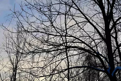 Tbd County Rd Jj, Appleton, WI 54913 - Photo 29