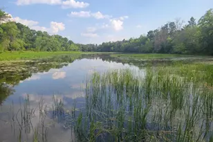 N10596 Lakeside Ct, Necedah, WI 54646 - Photo 19