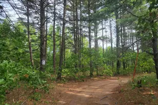 N10596 Lakeside Ct, Necedah, WI 54646 - Photo 27