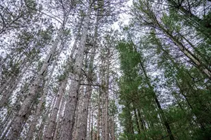 N10596 Lakeside Ct, Necedah, WI 54646 - Photo 67