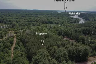 N10596 Lakeside Ct, Necedah, WI 54646 - Photo 69