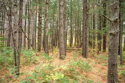 N10596 Lakeside Court, Necedah, WI 54646 - Photo 65