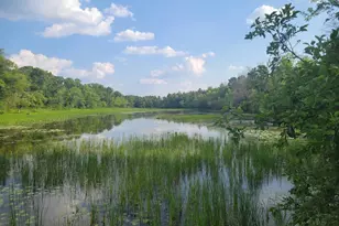 N10596 Lakeside Ct, Necedah, WI 54646 - Photo 55