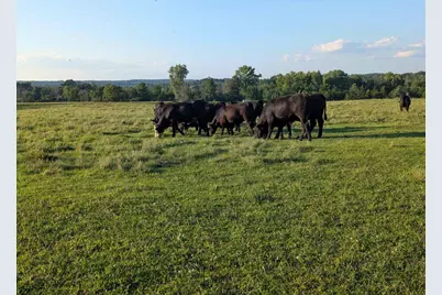 W6800 County Road D, Oxford, WI 53952 - Photo 89