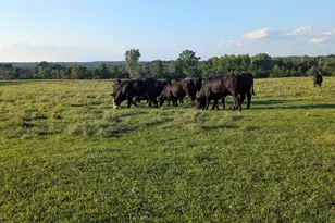 W6800 County Rd D, Oxford, WI 53952 - Photo 89